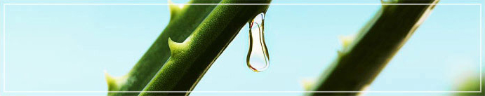 NATURA 상세 3