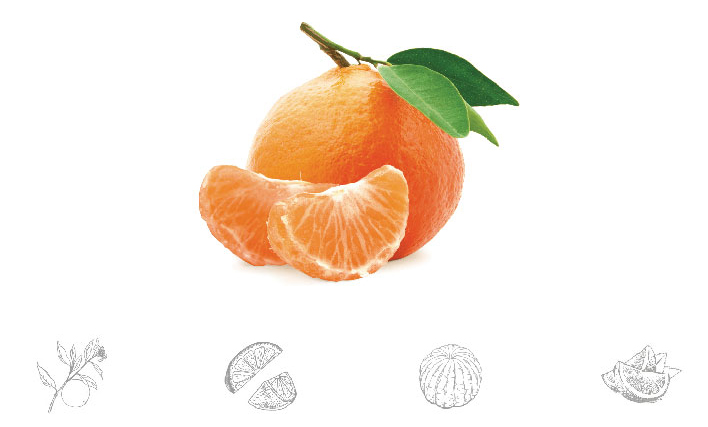 ameniti_arder_p_3.jpg