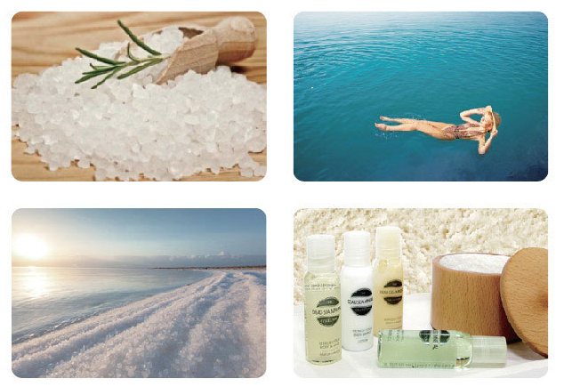 ameniti_deadsea_3.jpg